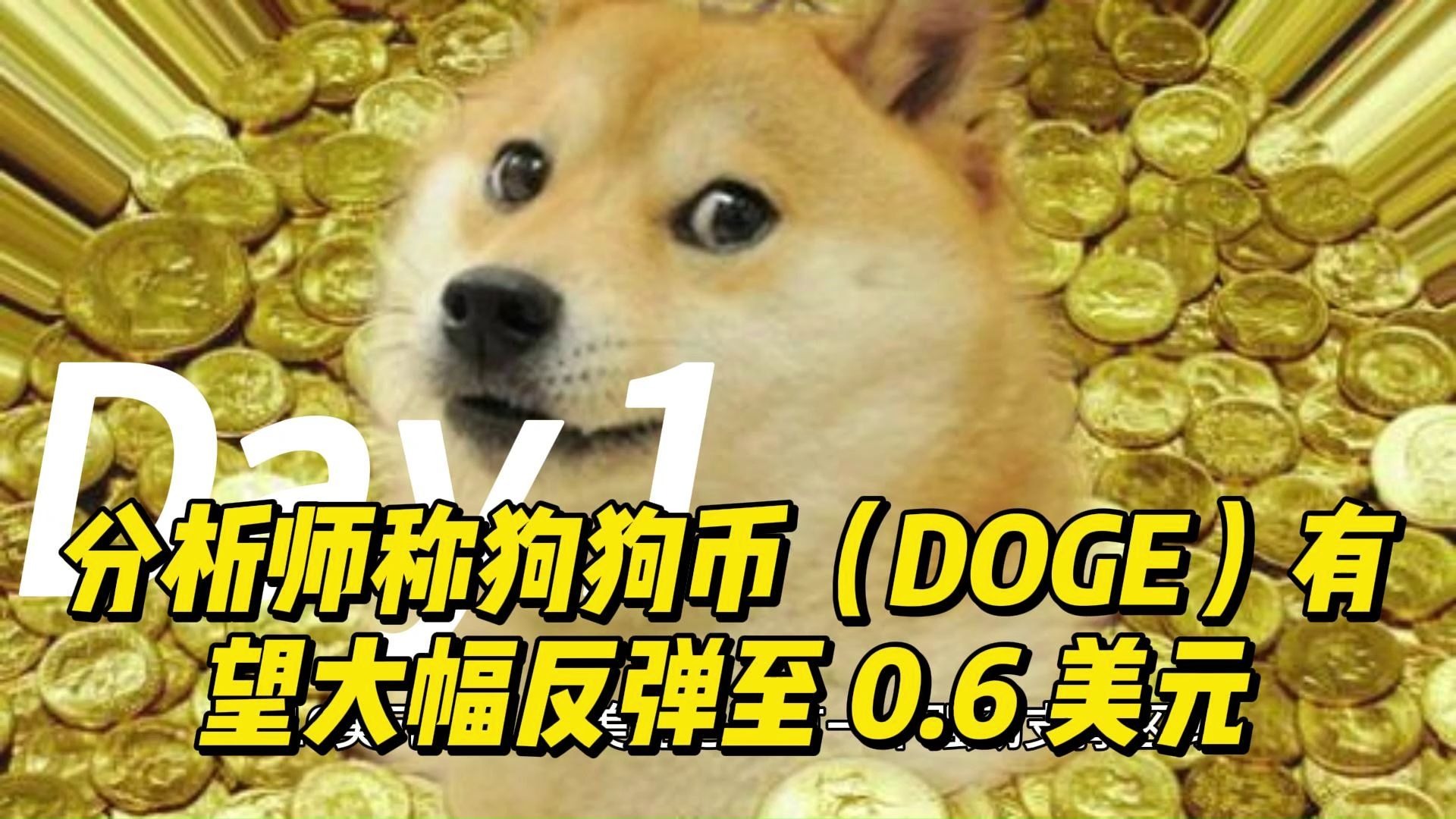 狗狗币投资陷阱真相浮出水面，已有超Coinbase人被骗！，震惊市场